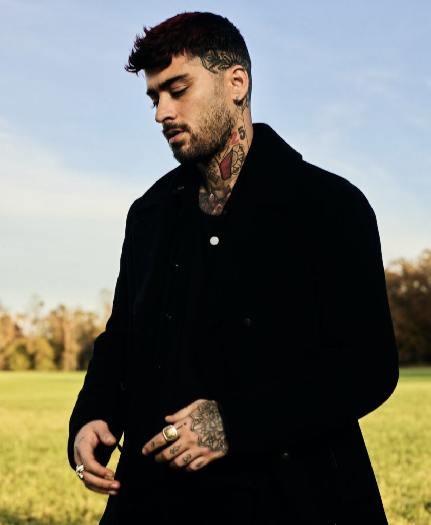 Press photo for "What I Am" which sees ZAYN in the middle of a field, wearing a black coat.