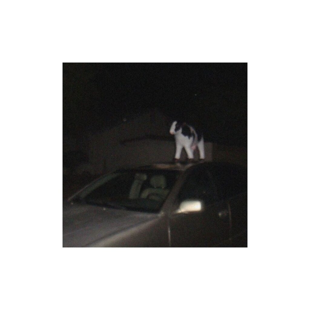 Official single cover artwork for "how do you say my name?" which showcases a black and white cat standing on the top of a car.