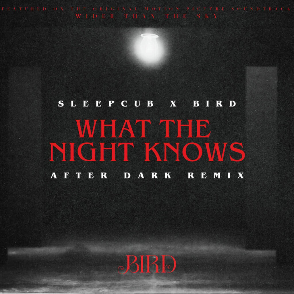 Official single cover artwork for the "After Dark Remix" for "What The Night Knows" by Bird & Sleepcub, which shows a dark room with a hanging lightbulb with the title and artist names floating in the middle.